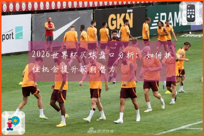 2026世界杯买球盘口分析：如何抓住机会提升获利潜力