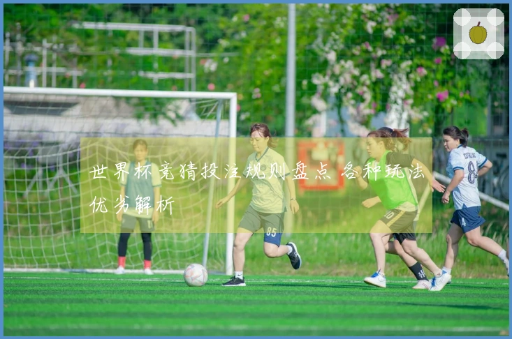 世界杯竞猜投注规则盘点 各种玩法优劣解析