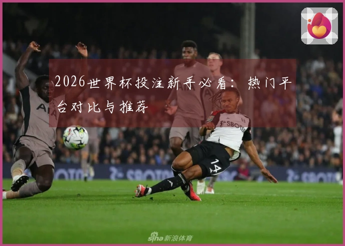2026世界杯投注新手必看：热门平台对比与推荐